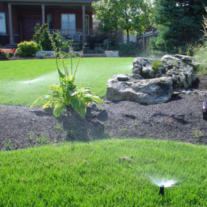 автоматический полив