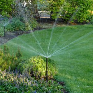 автополив под ключ